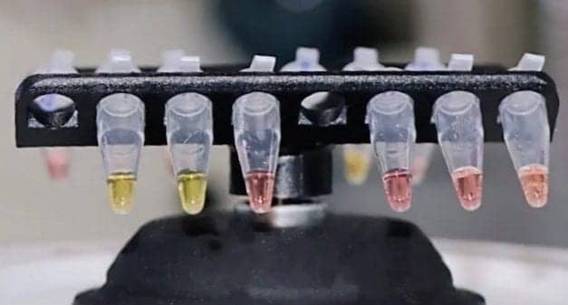 Oxford Scientists Develop Rapid Testing Technology for Covid-19