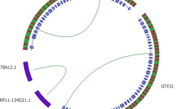 Qlucore Updates Omics Explorer to Improve Data Analysis