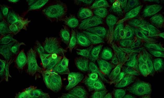 Caris Life Sciences and Ambry Genetics Team Up to Advance Cancer Care