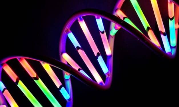 Palmetto GBA Grants Coverage for GTC Solid Tumor Profiling Test