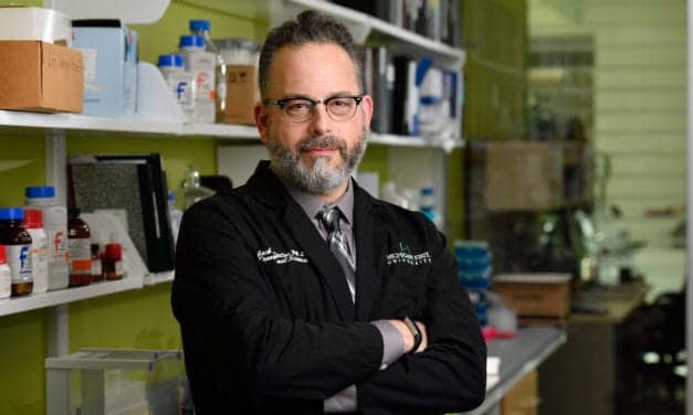MSU Researchers Adapt Coronavirus Test without Scarce Resources