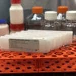 Babson Diagnostics Receives FDA EUA for SARS-CoV-2 IgG Antibody Test