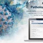 Indica Labs, Octo, and Axle Work with NIH to Launch Covid-19 Digital Pathology Repository