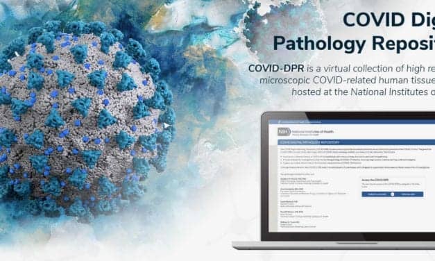 Indica Labs, Octo, and Axle Work with NIH to Launch Covid-19 Digital Pathology Repository