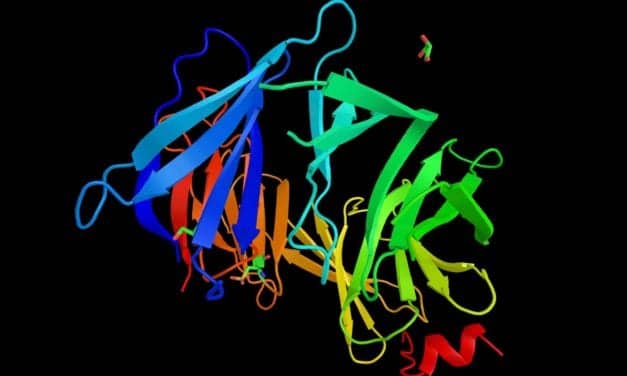 FDA Approves FoundationOne Liquid CDx Liquid Biopsy Test