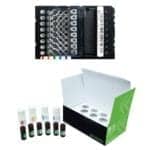 Purigen Debuts Novel RNA Purification Kit for FFPE Specimens
