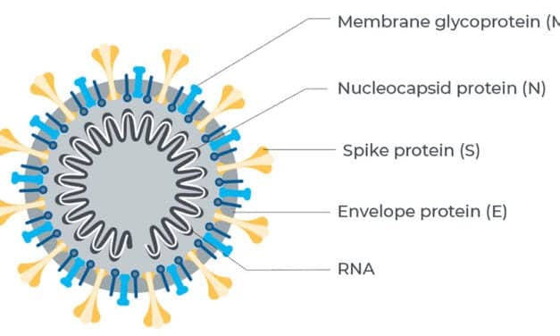 Beckman Coulter Launches SARS-CoV-2 IgM Antibody Test