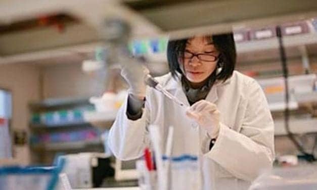 Exosome Isolation and Quantification Service