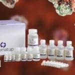 ChIP Kits for High-Throughput Antibody Validation