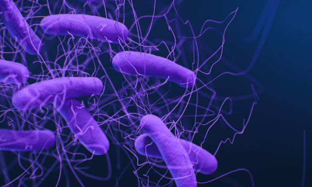 Fighting Antimicrobial-Resistant HAIs