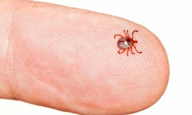 5 Emerging Tick-Borne Illnesses