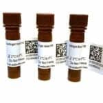 Bio-Rad Launches Three StarBright Dyes for Flow Cytometry