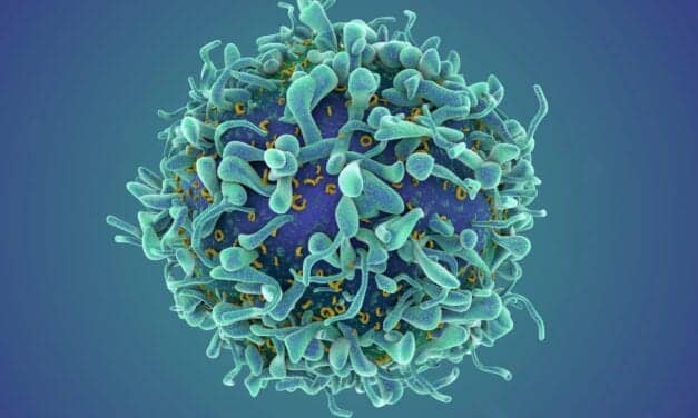 Preliminary Data Suggests T Cell Testing Outperforms Antibody Testing to ID Past Covid-19