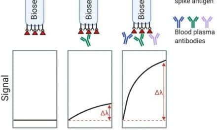 New Method of Rapid, Accurate Testing for Covid-19 Antibodies