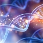 Amsbio Cell Free Nucleic Acid Extraction