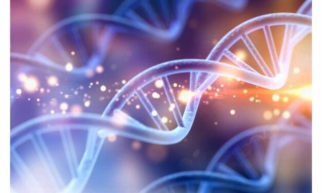 Amsbio Cell Free Nucleic Acid Extraction