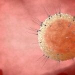 Mail-in Sperm Testing Just as Reliable as In-Clinic Tests in Predicting Male Fertility
