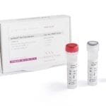 Advanced Bst Polymerase Reagents for Accelerated DNA and RNA Amplification