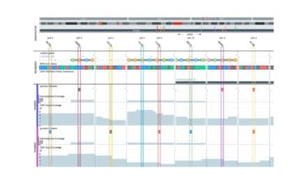 Qlucore Releases QOE 3.7 with ChIP-seq and Biomarker Support