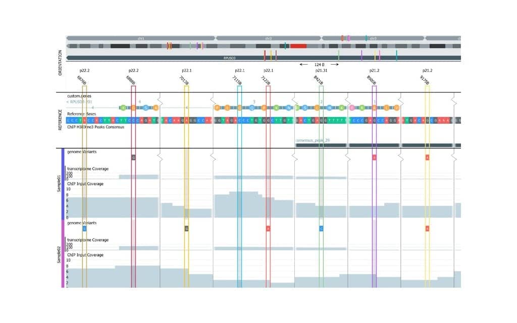 Qlucore Releases QOE 3.7 with ChIP-seq and Biomarker Support