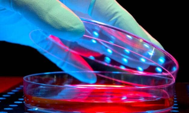 STIs in the Time of Covid-19