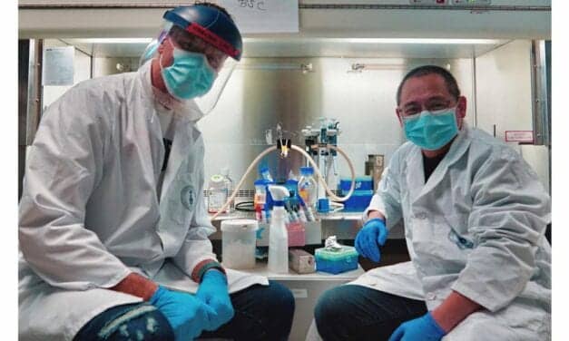 Toronto Researchers Develop Rapid Low-Cost Method to Measure Covid-19 Immunity