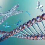 Gene Linked to Congenital Heart Disease Identified