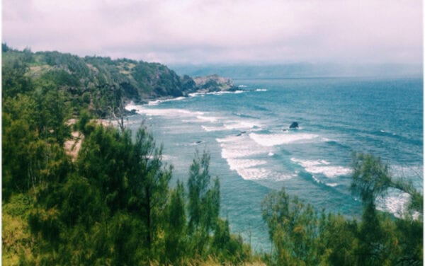 CityHealth Introduces COVID-19 Hawaii Drop-Off Test Kit