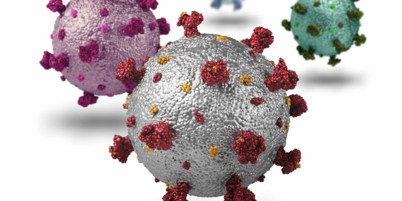 The Role of Serology in Tracking COVID-19 Mutations