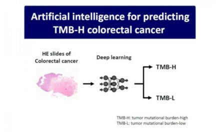 Histopathology-driven AI Predicts TMB-H Colorectal Cancer