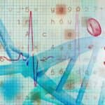 Study Focuses on Patients’ Genetic Risk for Heart Disease