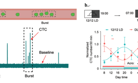 In Vivo Flow Cytometry May Be Next Step in Identifying CTCs