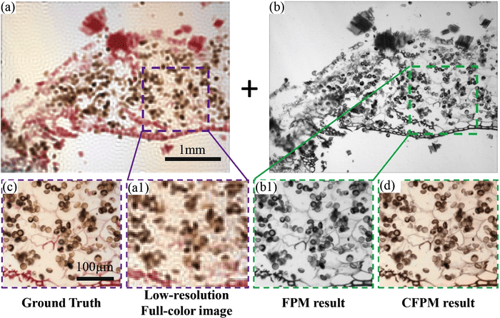 Fourier Ptychographic Microscopy May Transform Digital Pathology