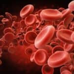 Assay Uncovers Role  of Hypoxia in Red Blood Cell Aging