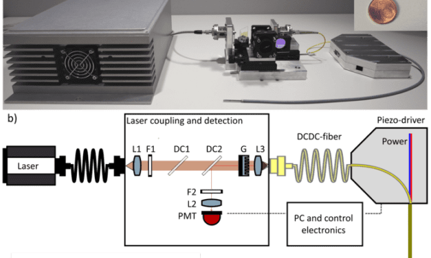Multimodal Fiber Probe Developed for In Vivo Tissue Diagnostics