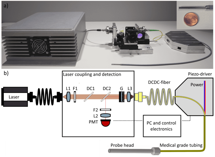 Multimodal Fiber Probe Developed for In Vivo Tissue Diagnostics