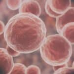 SEngine Precision Medicine Gets New York CLEP Approval for Tumor Test