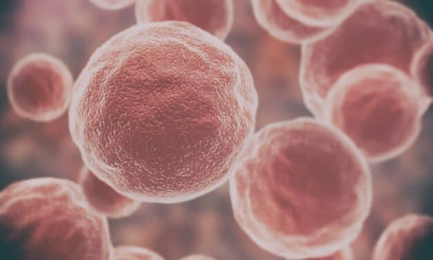 SEngine Precision Medicine Gets New York CLEP Approval for Tumor Test