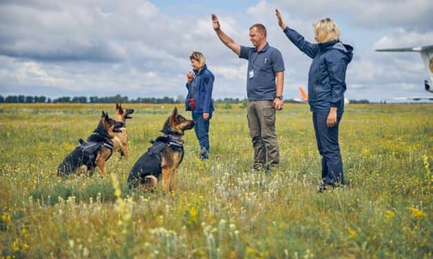 Sniffing Out COVID: How Trained Dogs Detect Variants