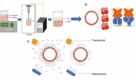 Circulating Microbubbles Can Measure Blood Oxygen Levels
