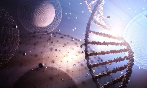 New England Biolabs Releases In Vitro Transcription Kit