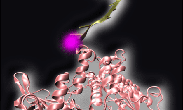 Light-Controlled Enzymes May Improve PCR Test Efficacy for COVID-19