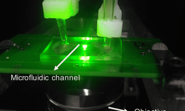 Sensor Based on Quantum Physics Could Detect SARS-CoV-2