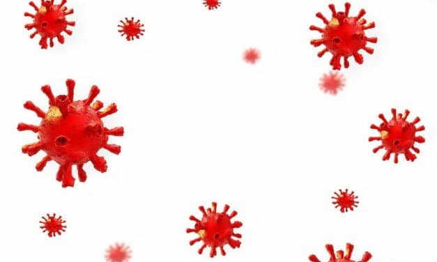 Biologists Research Universal COVID Test