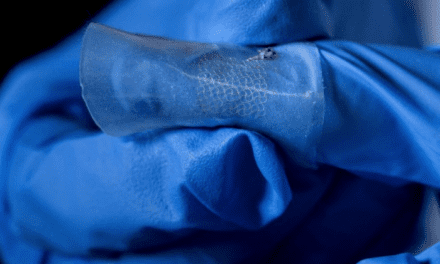 Wearable Sweat Sensor Can Monitor Human Biochemical Information