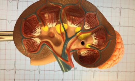 CRISPR Assay Could Help Diagnose Kidney Transplant Rejection