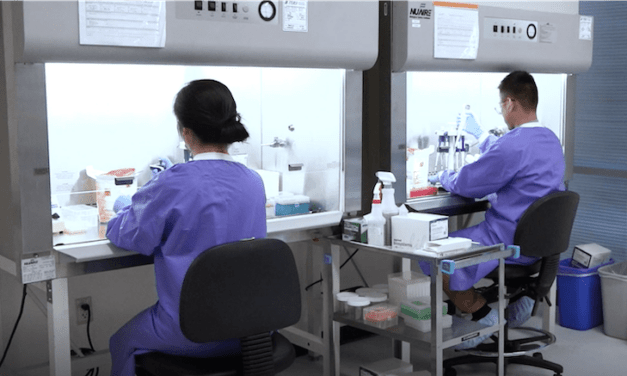 Avellino’s New Combination Test Detects Four Viral Infections in One Sample