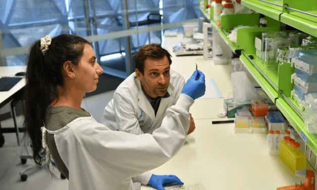 Petri-Dish Substrate Innovation to Aid Neurological Disorder Testing