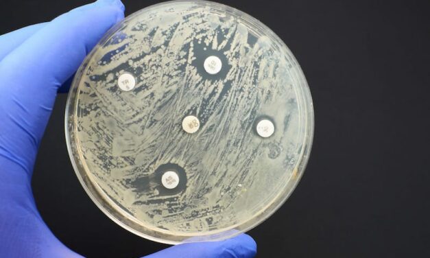 Why Antimicrobial Resistance is a Leading Cause of Death