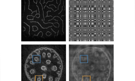 Lensless Microscopy Device Can Image Micron-Scale Targets Through Skin